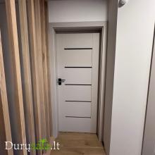 Auri 0