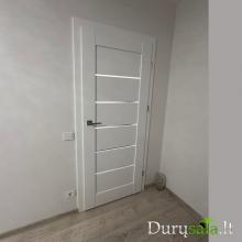 Daglezja