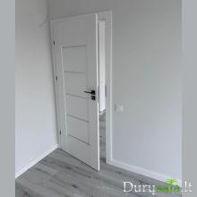 Daglezja